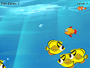 Fish Simulator