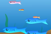 Fishy Fishy