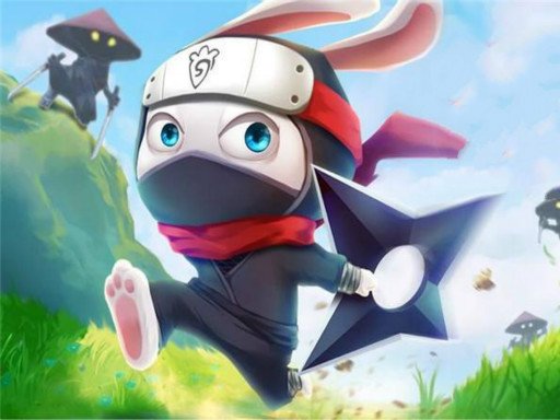 Ninja Rabbit Ninja Rabbit